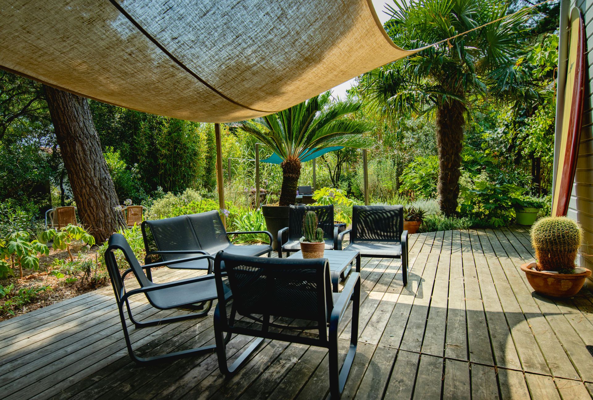 Bassin naturel créé par paysagiste en Alsace