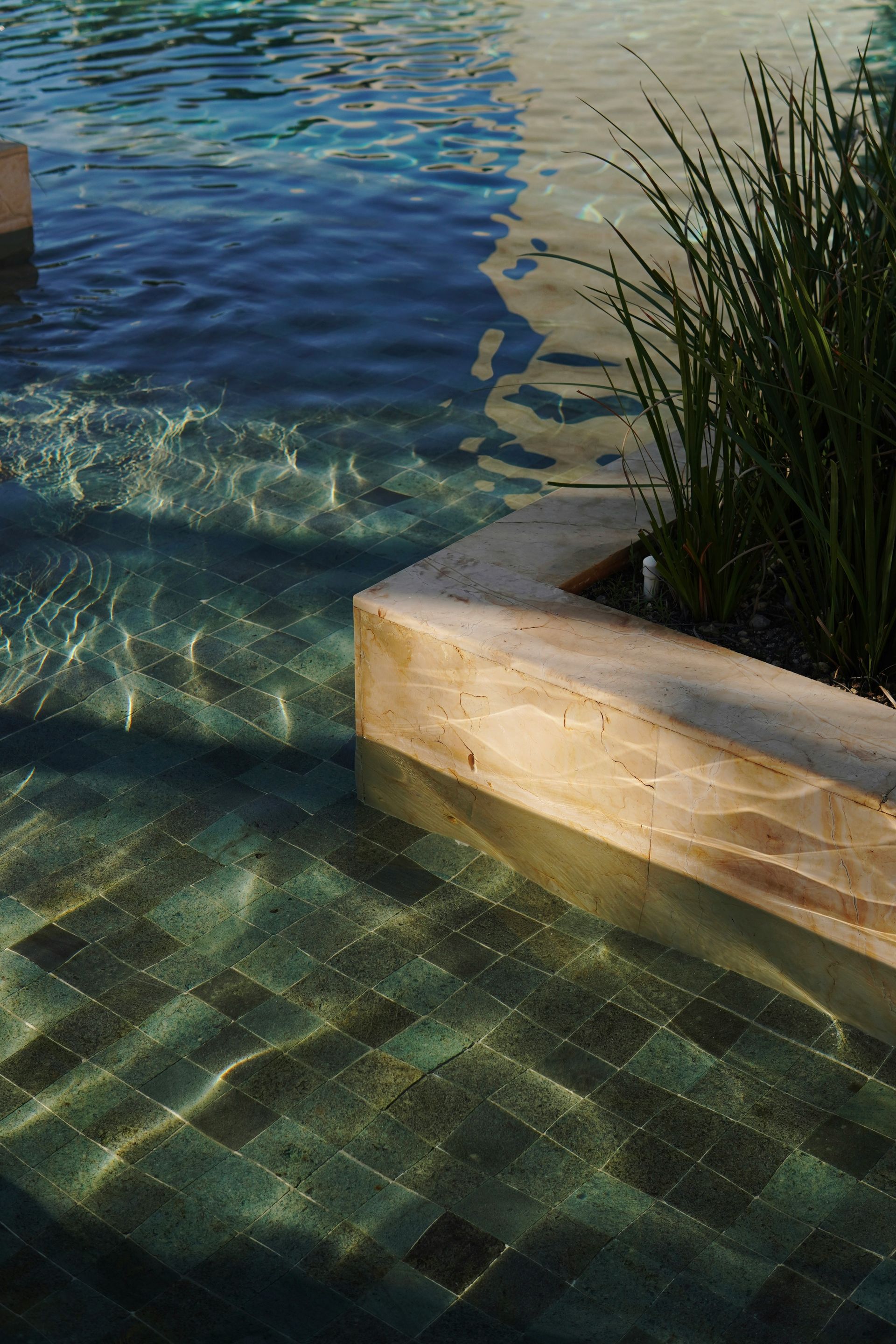 Piscines et bassins naturels - Vue principale par Vertuoses en Alsace