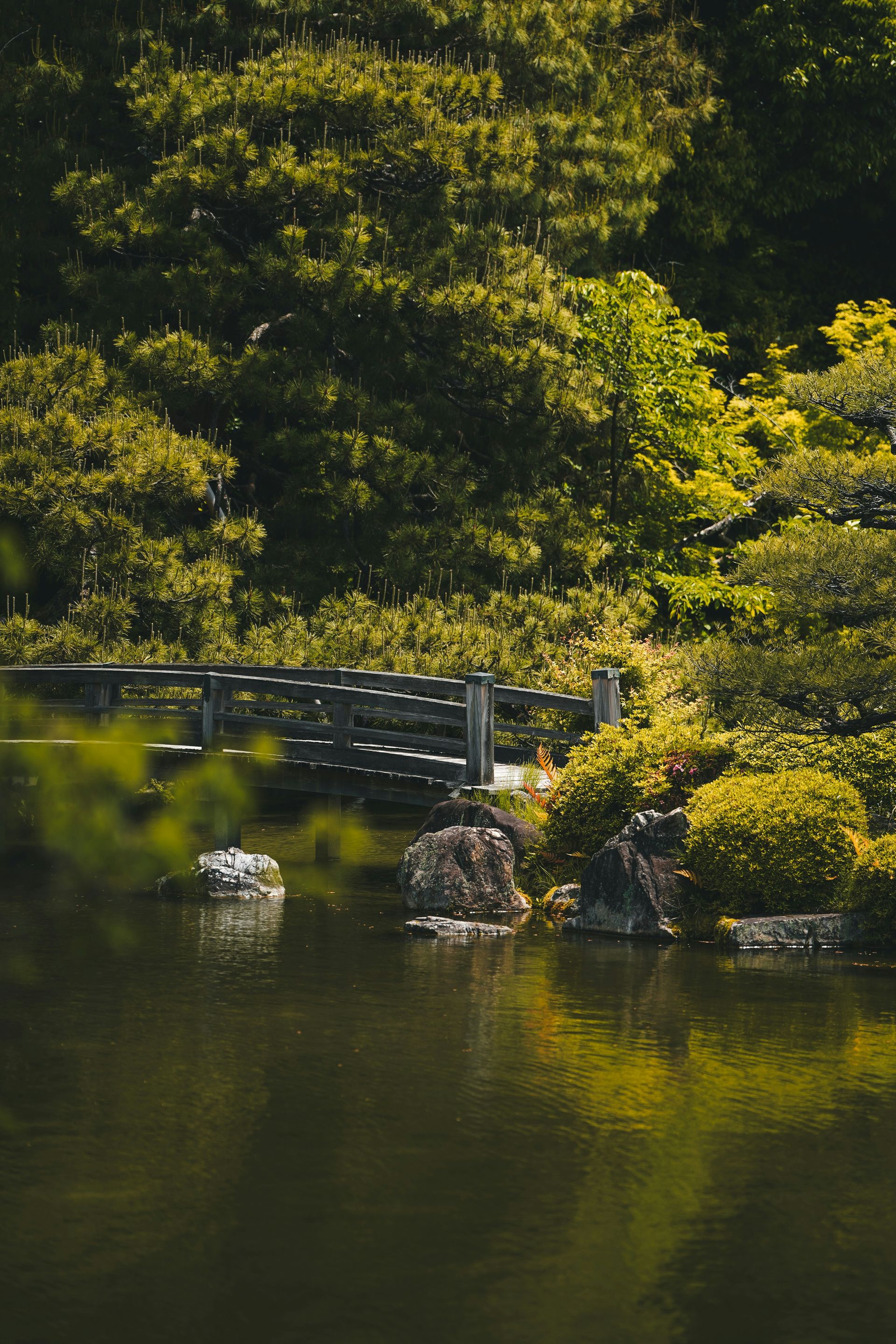 Jardinier Alsace - Composition de massifs floraux professionnelle