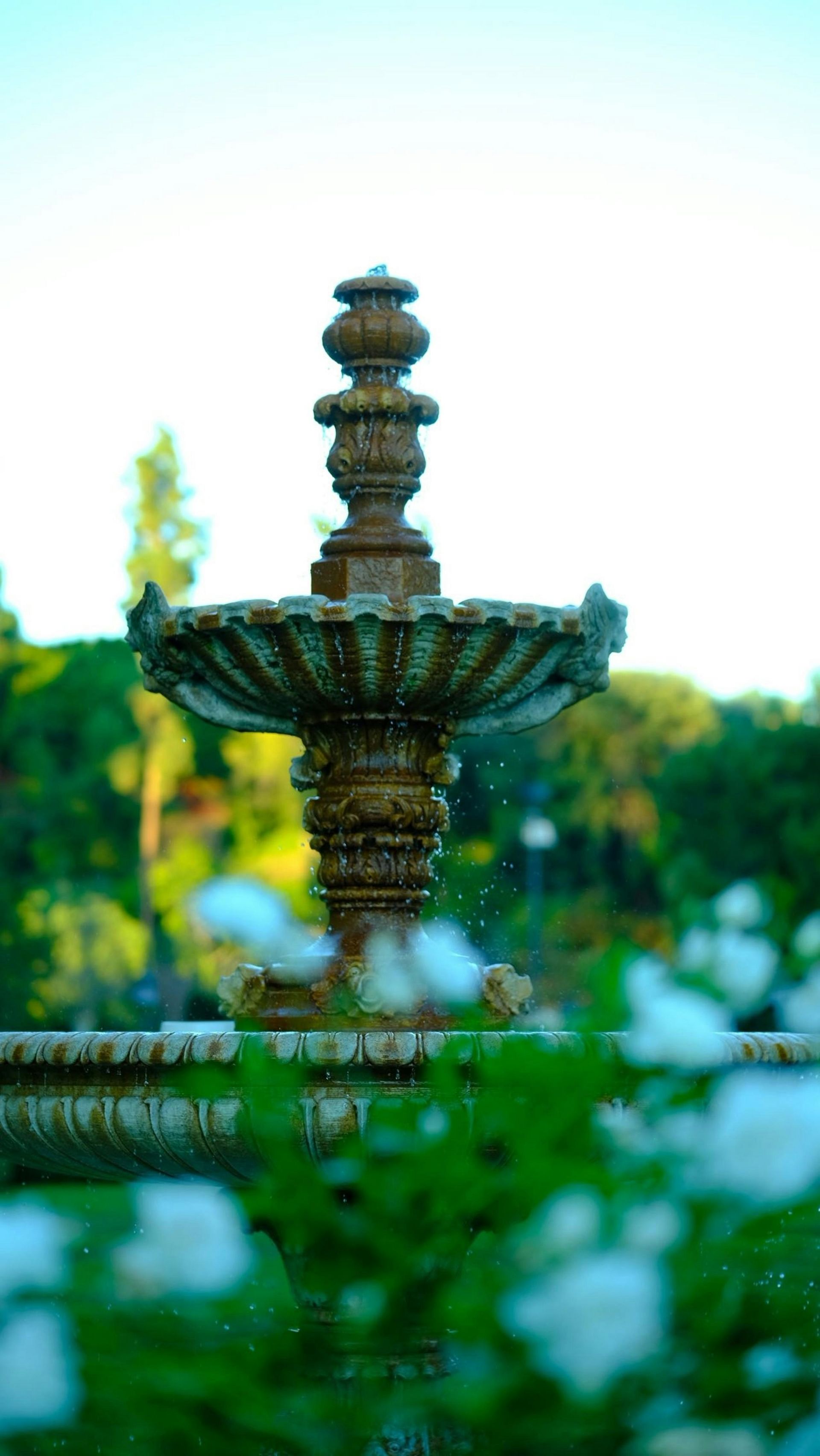 Installation de fontaines de qualité - Vue principale par Vertuoses en Alsace